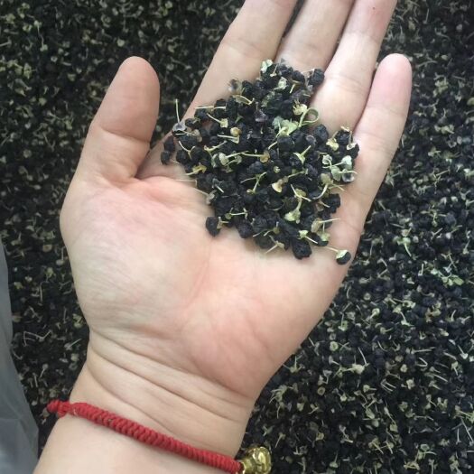 揭阳 青海黑枸杞，明目养神，缓解视觉疲劳干涩，利尿，