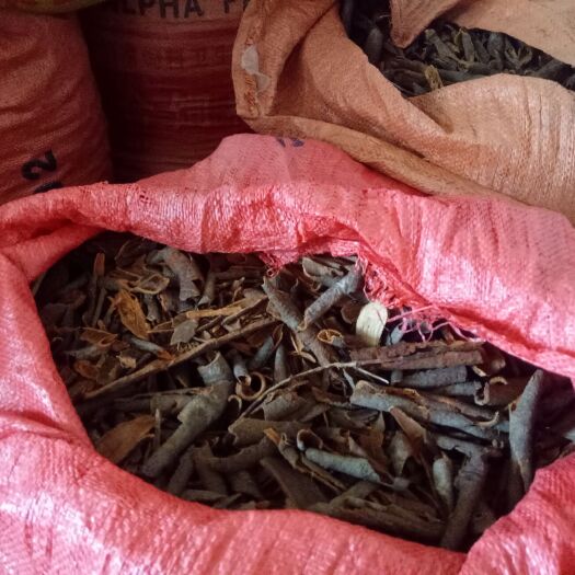 防城港 碎桂，优质桂皮，干度足