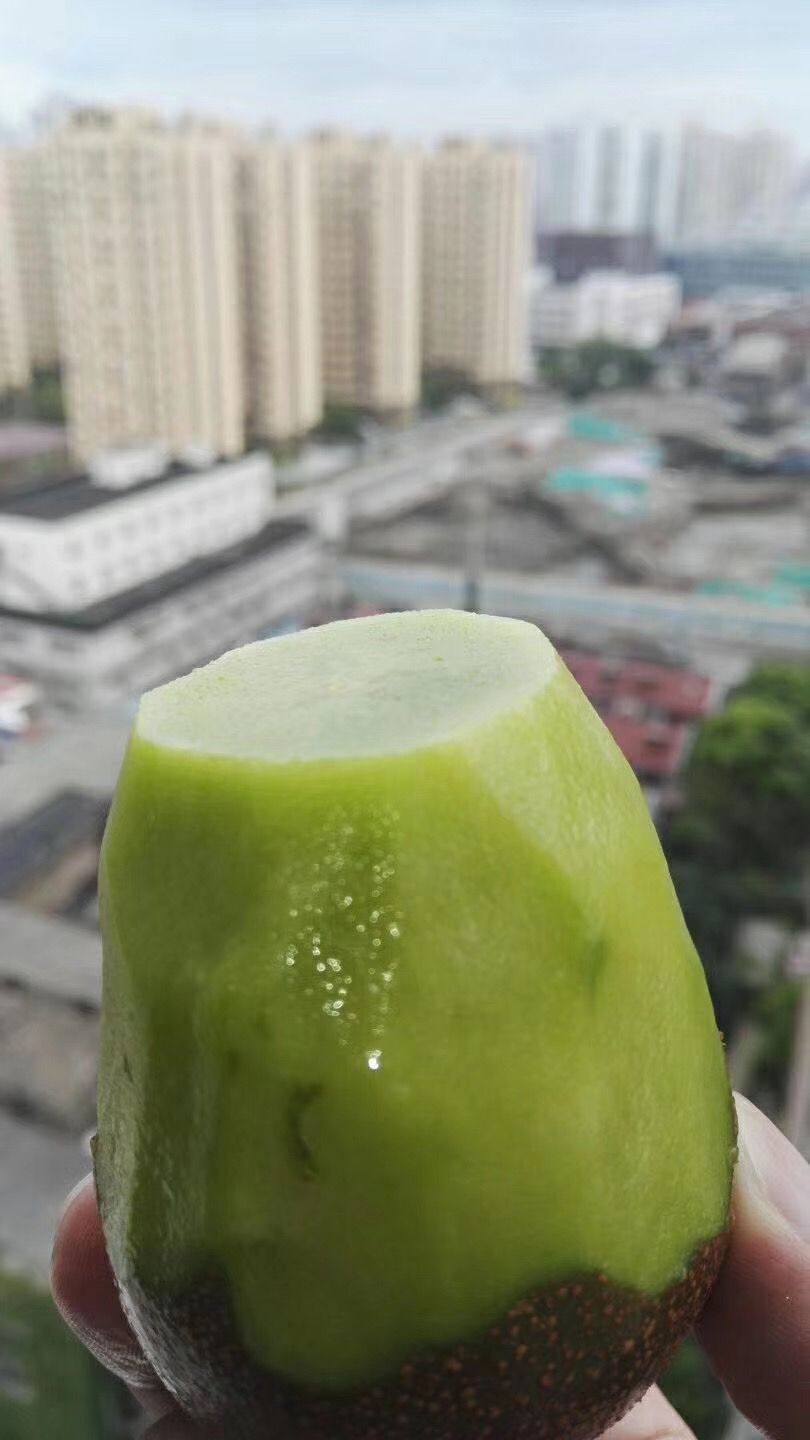  猕猴桃（武植3号）