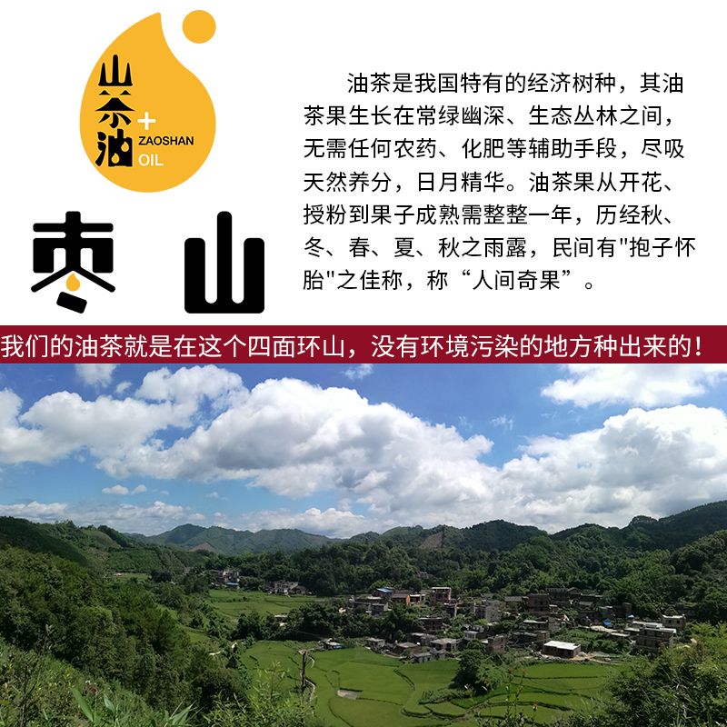 干油茶籽茶籽