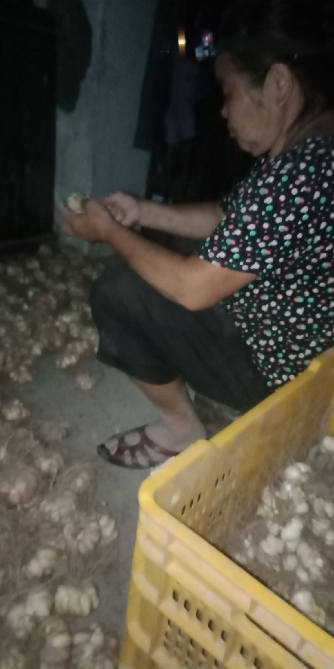 龙牙百合粉 我是一个农民工的女儿