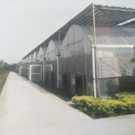 天津大棚钢管 天津宝宏钢铁有限公司，专业生产大棚骨架，棚膜，棉被，大棚配件