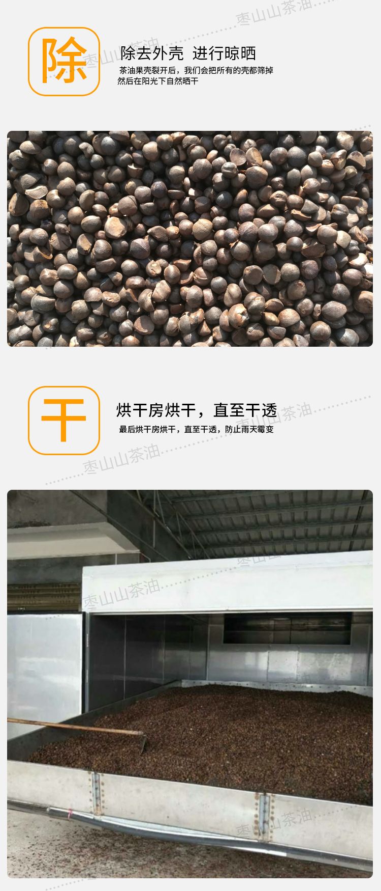 干油茶籽茶籽