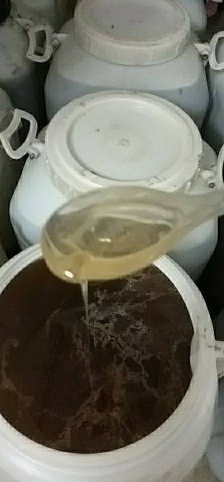 天门市蜂巢蜜 桶装 2年 