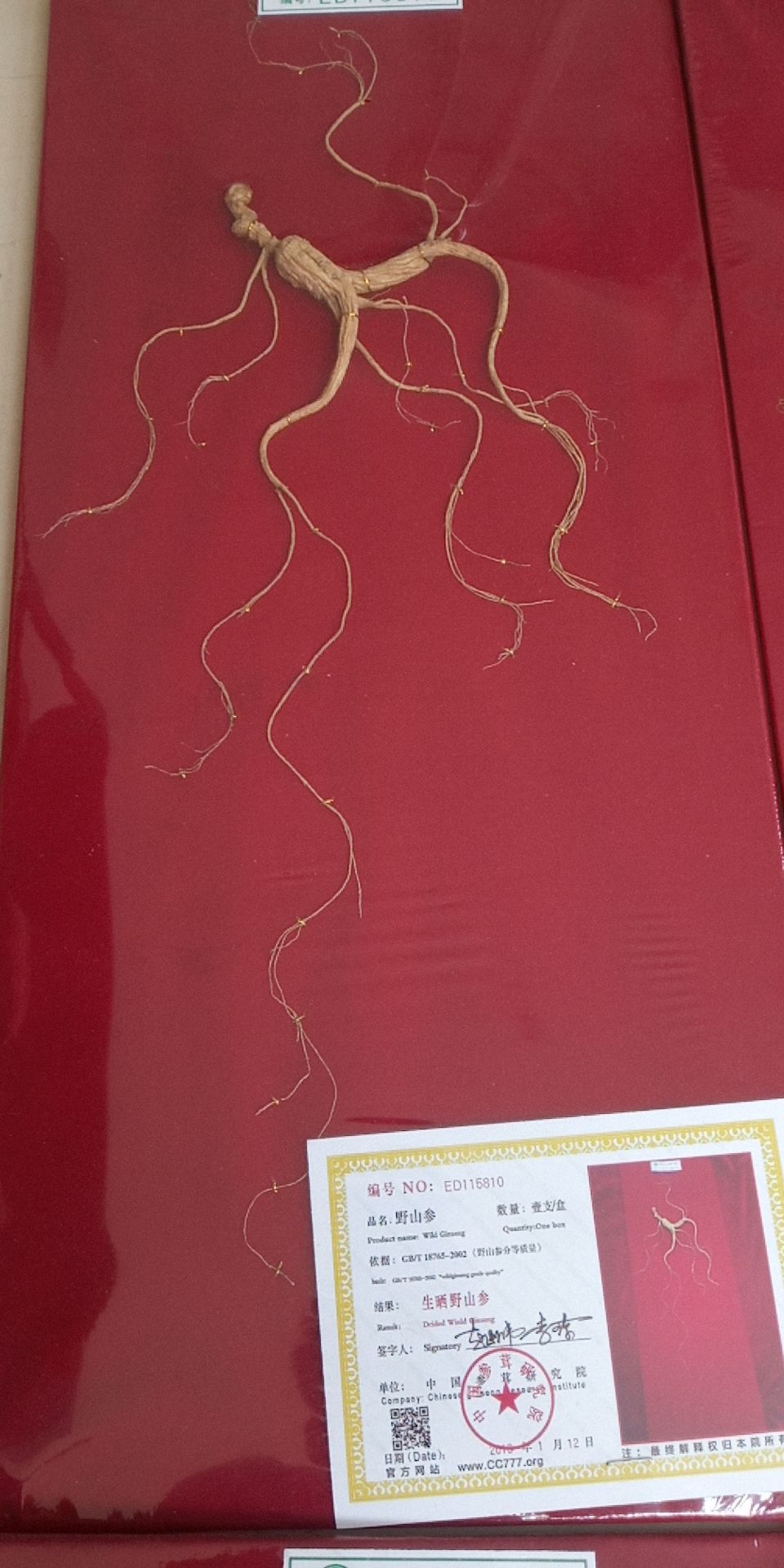 林下参 中秋送礼福利！高端大气上档次