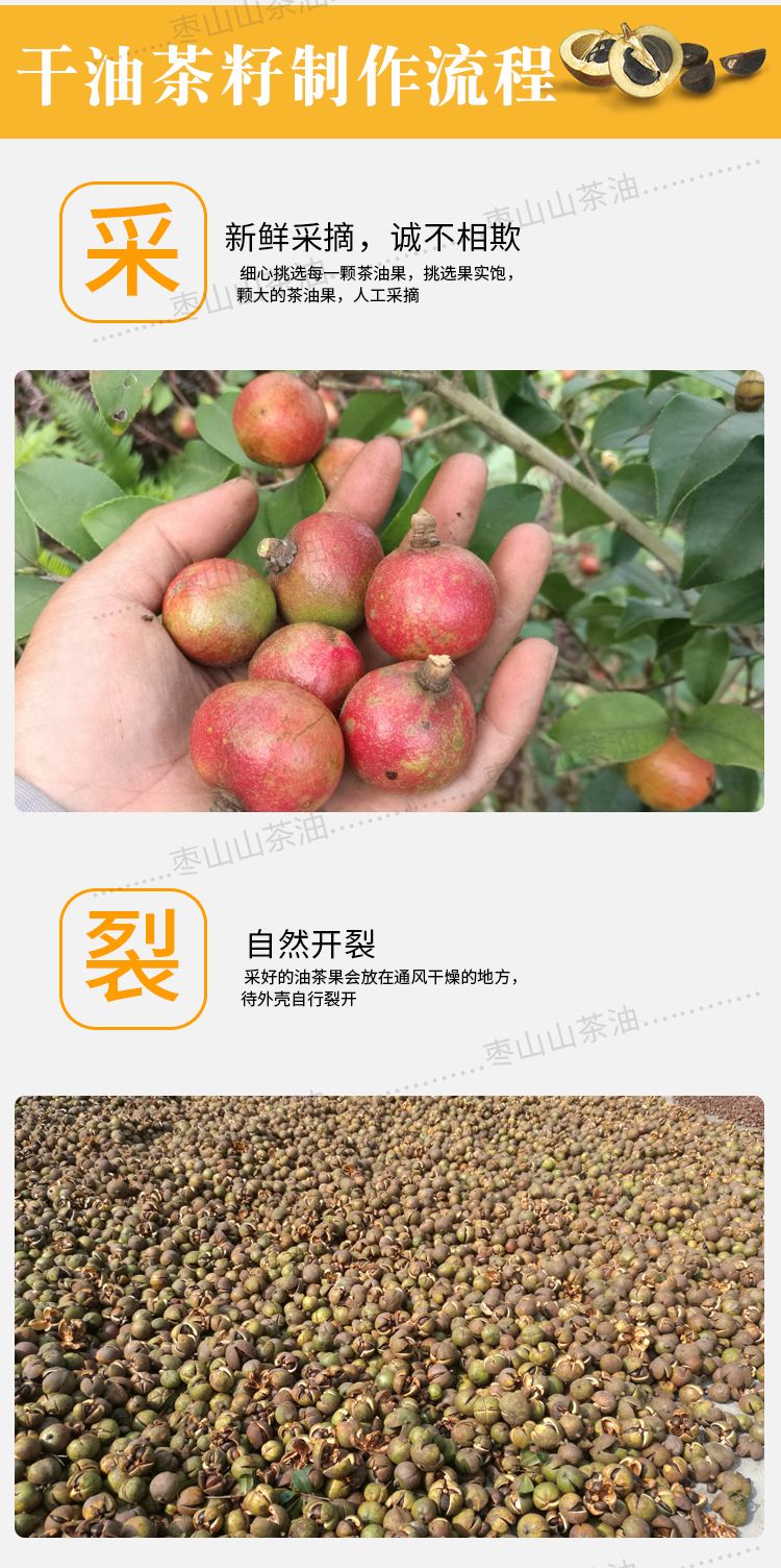 干油茶籽茶籽