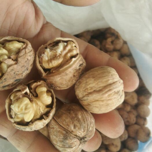 洛南县 辽四核桃，皮薄，个大，果仁色好