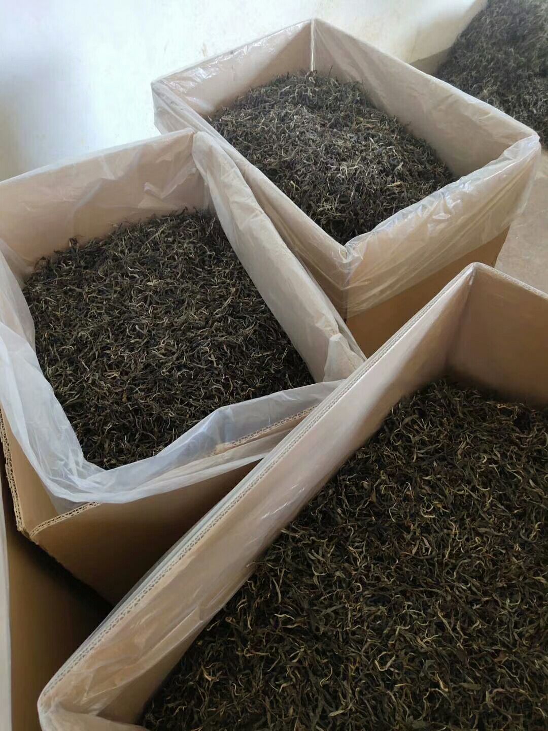 世界茶源，普洱茶都