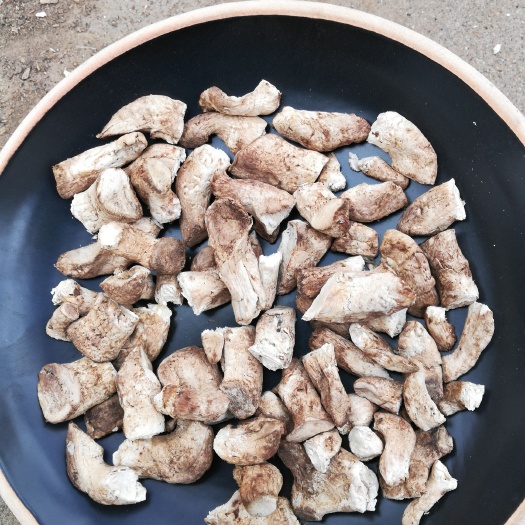  秋季，香菇，松蘑，滑子菇，