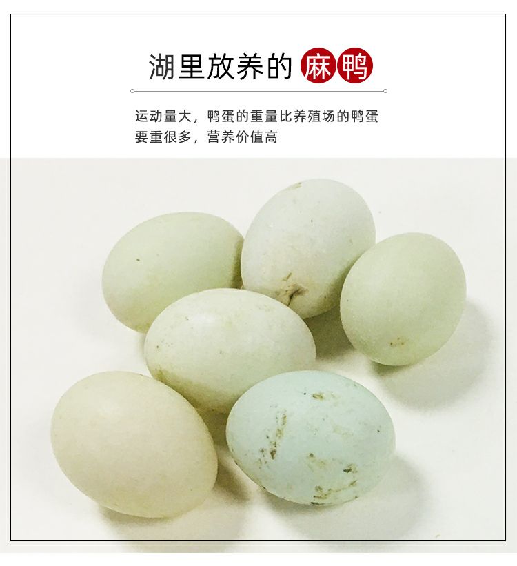  纯绿色散养土鸭蛋