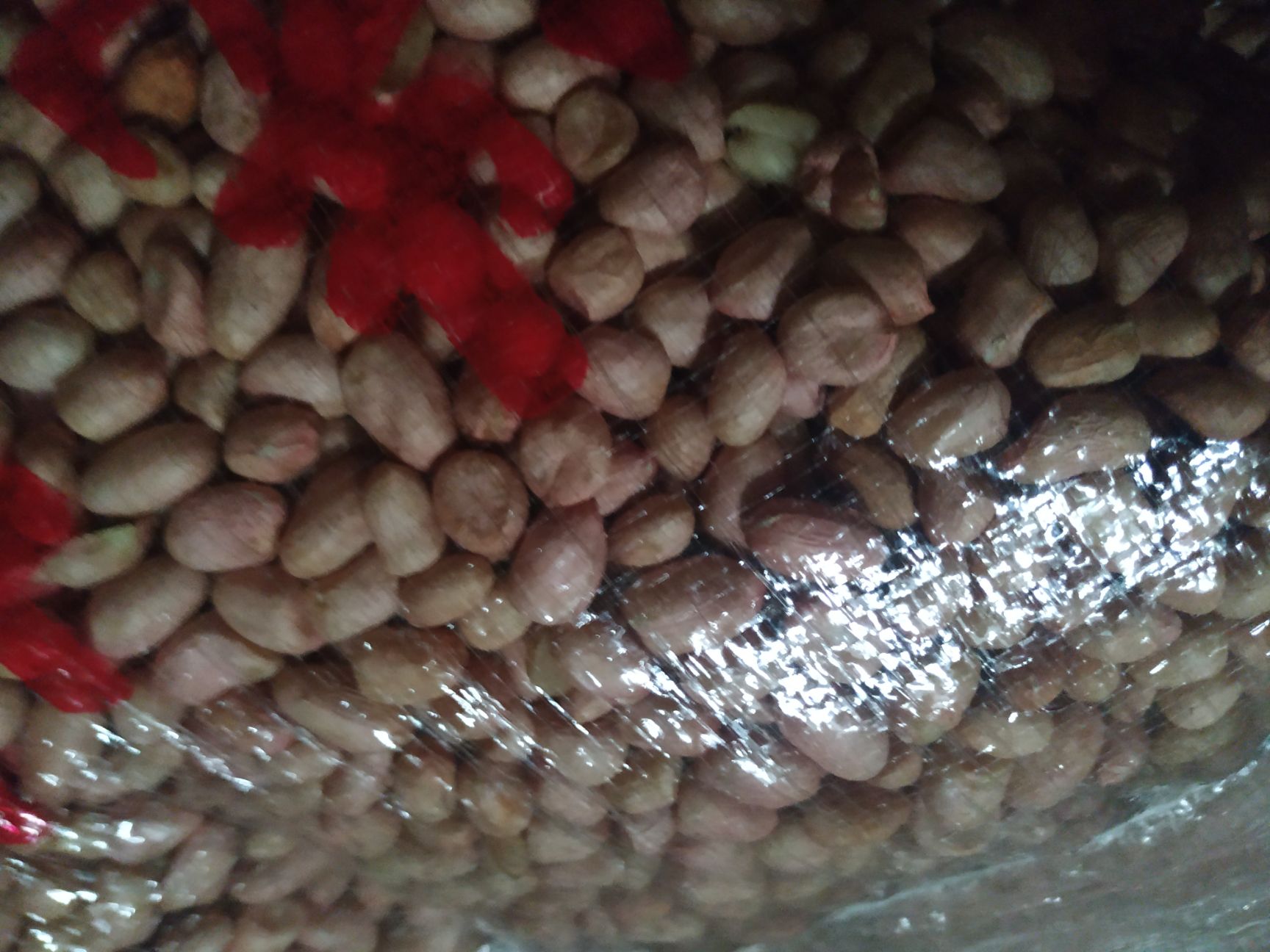  驻马店小白沙花生米