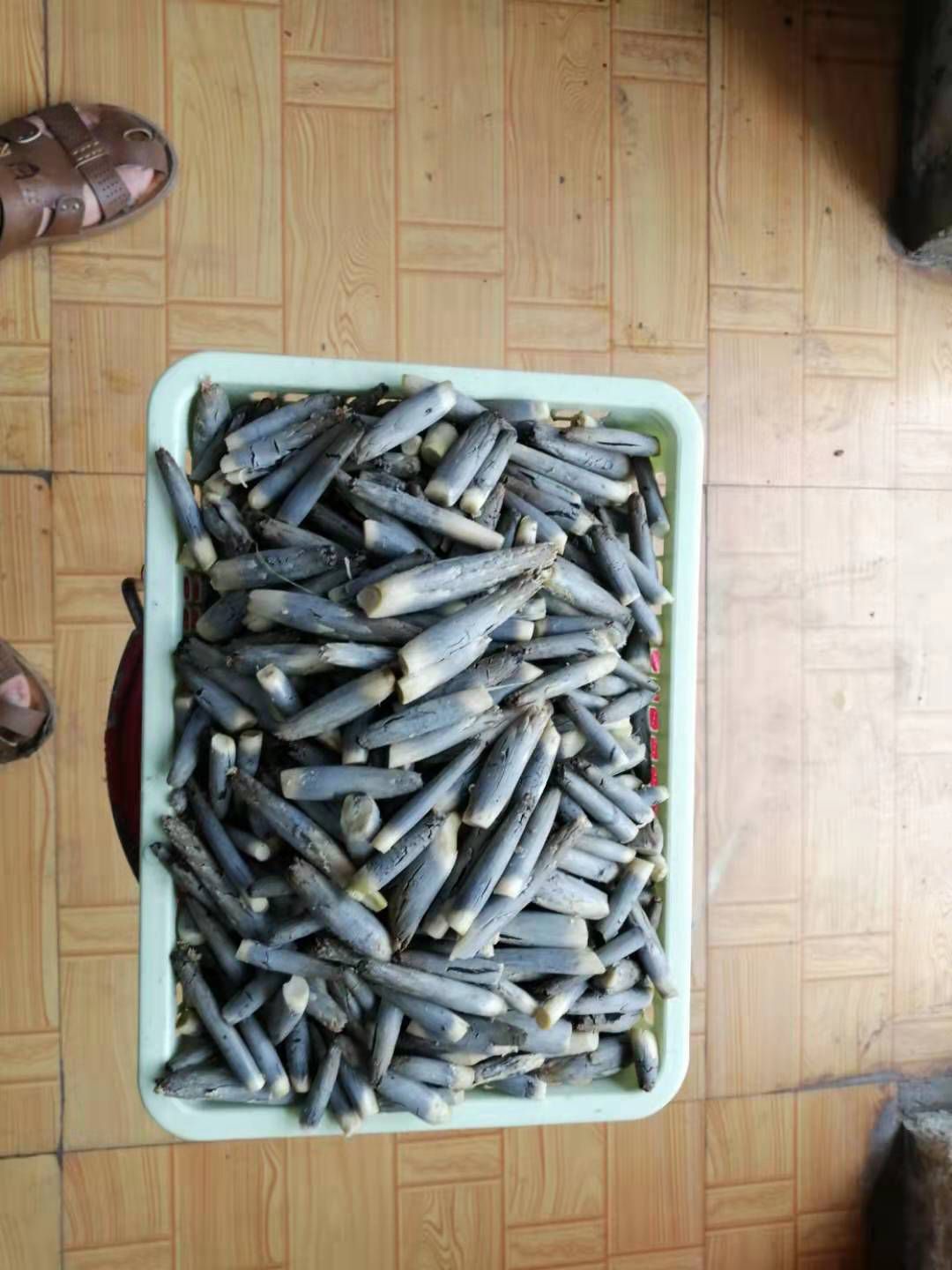 乌米菌 出售高粱乌米