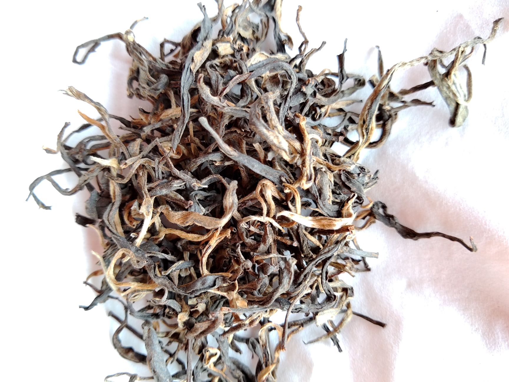 古树红茶 古树晒红