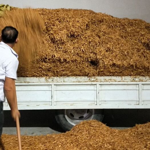 祁东县 优质一品黄花菜，黄花菜批发