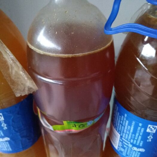 江城县 小草蜂（细蜜蜂）