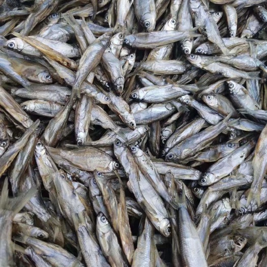 都昌县宠物饲料 淡水无盐小鱼干小鱼仔小杂鱼没破肚皮猫粮宠物粮鱼干