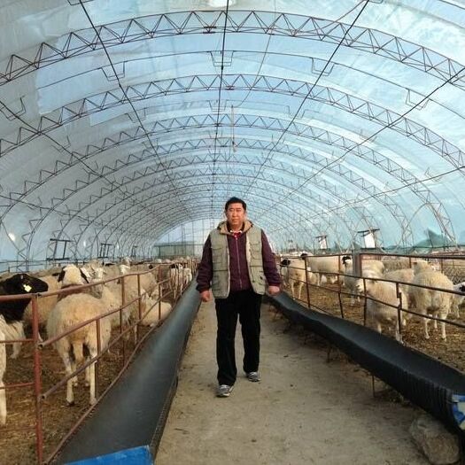 天津热镀锌管 天津恒茂源钢铁有限公司专业生产大棚管