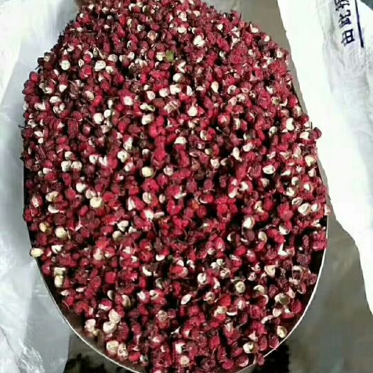 汉源县汉源花椒 特级 干花椒