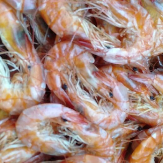 滨州对虾干 中号烤虾上市