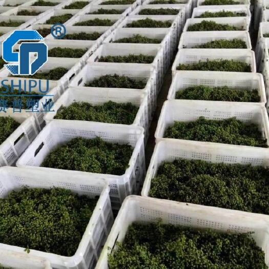 重庆市塑料筐 花椒筐