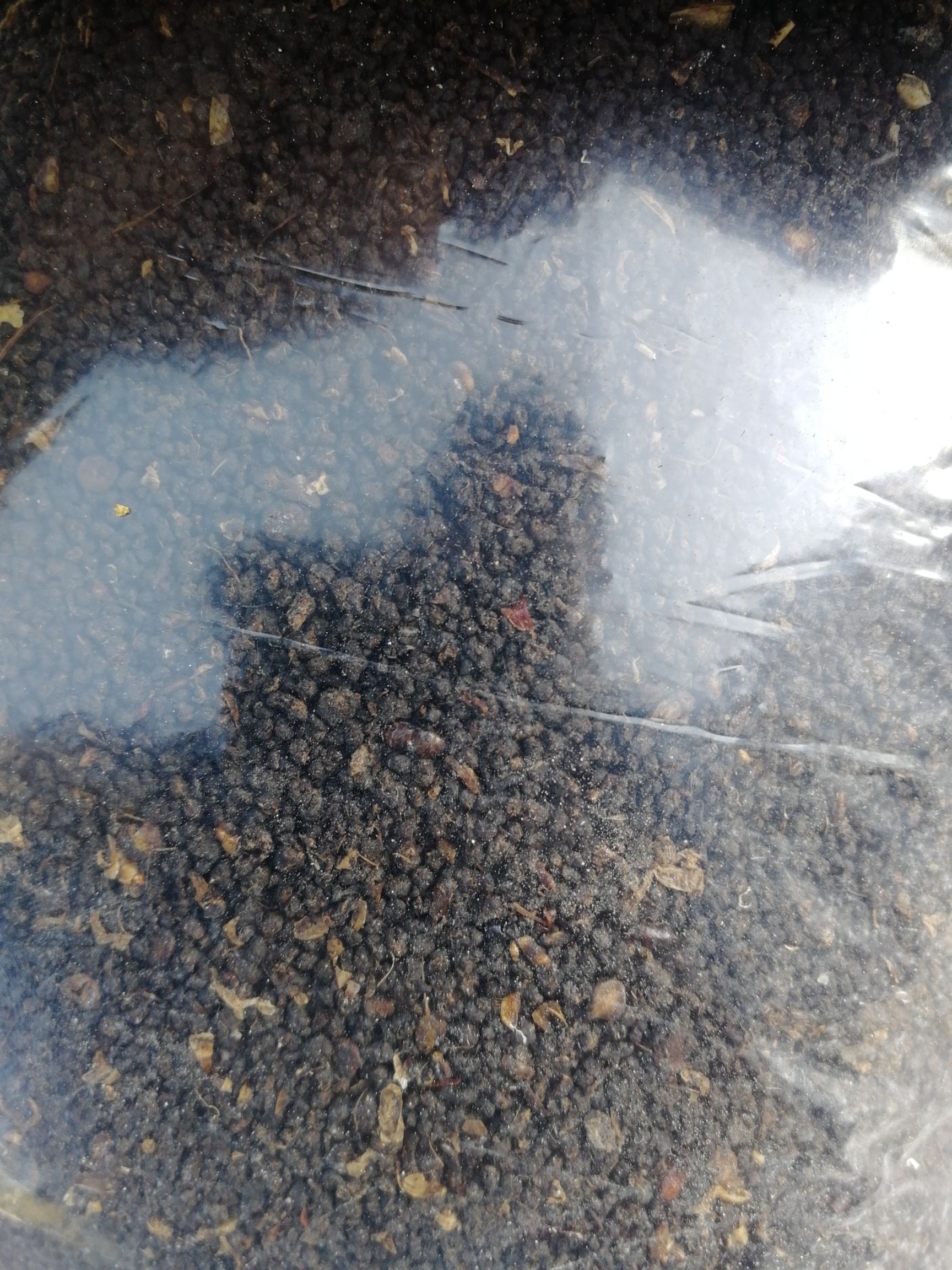  微生物发酵黑水虻虫沙（虫粪）