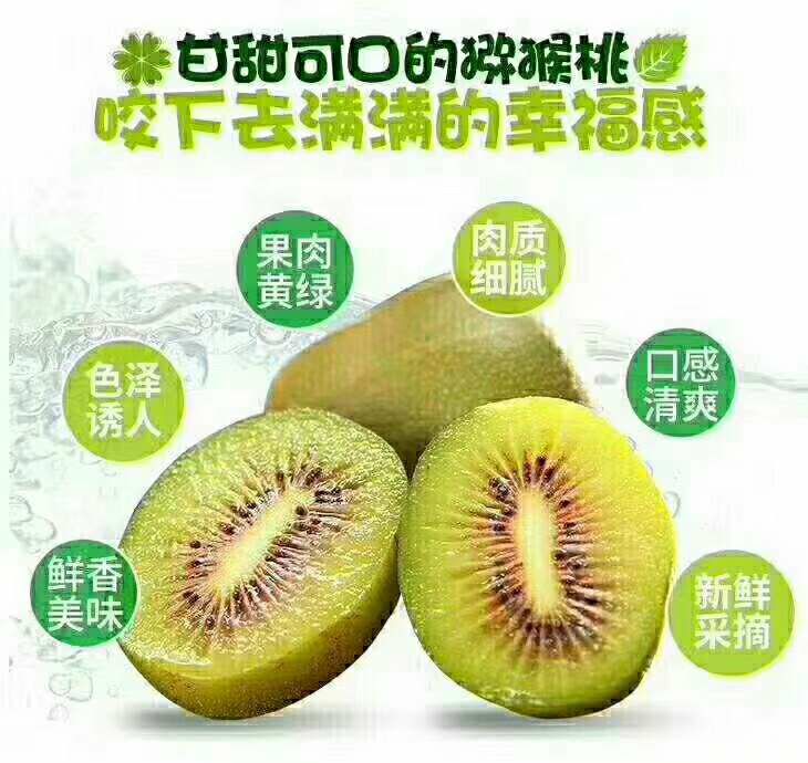  都江堰天然田园阳光果红心猕猴桃