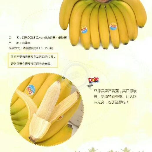 北京 菲律宾香蕉，好国产