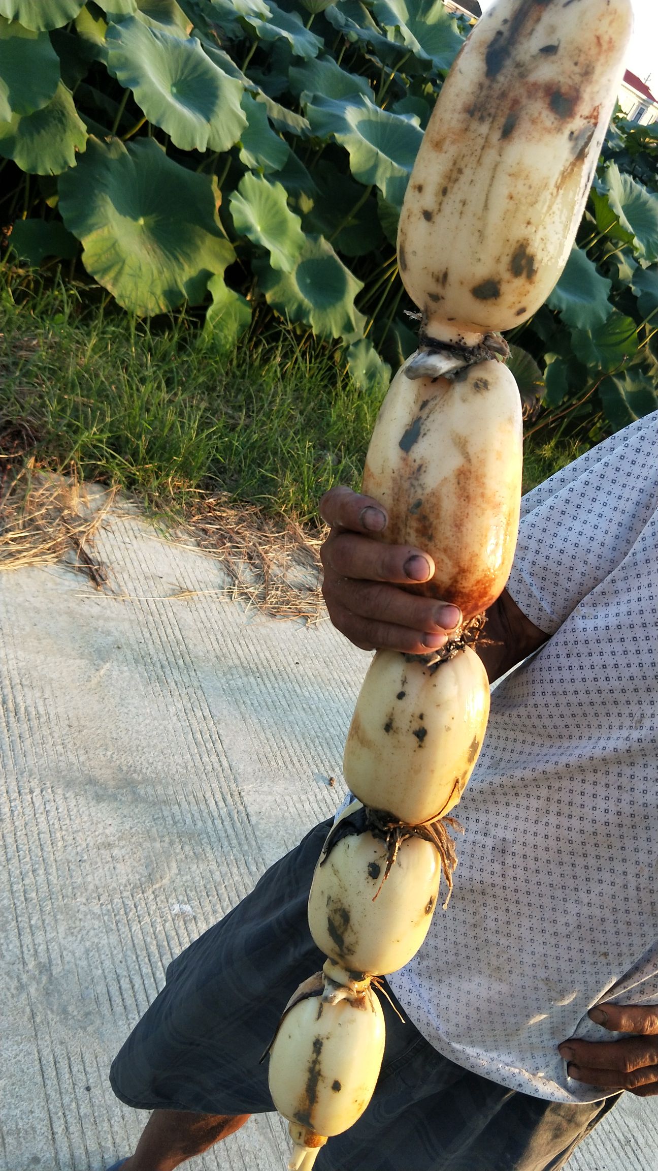 李美霞 - 惠农网基础店铺 - 惠农网