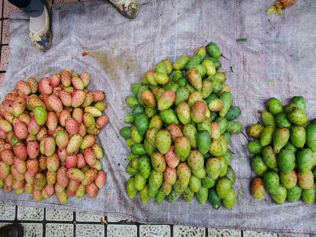 泸定县 甘孜州泸定县特产，仙人掌果。