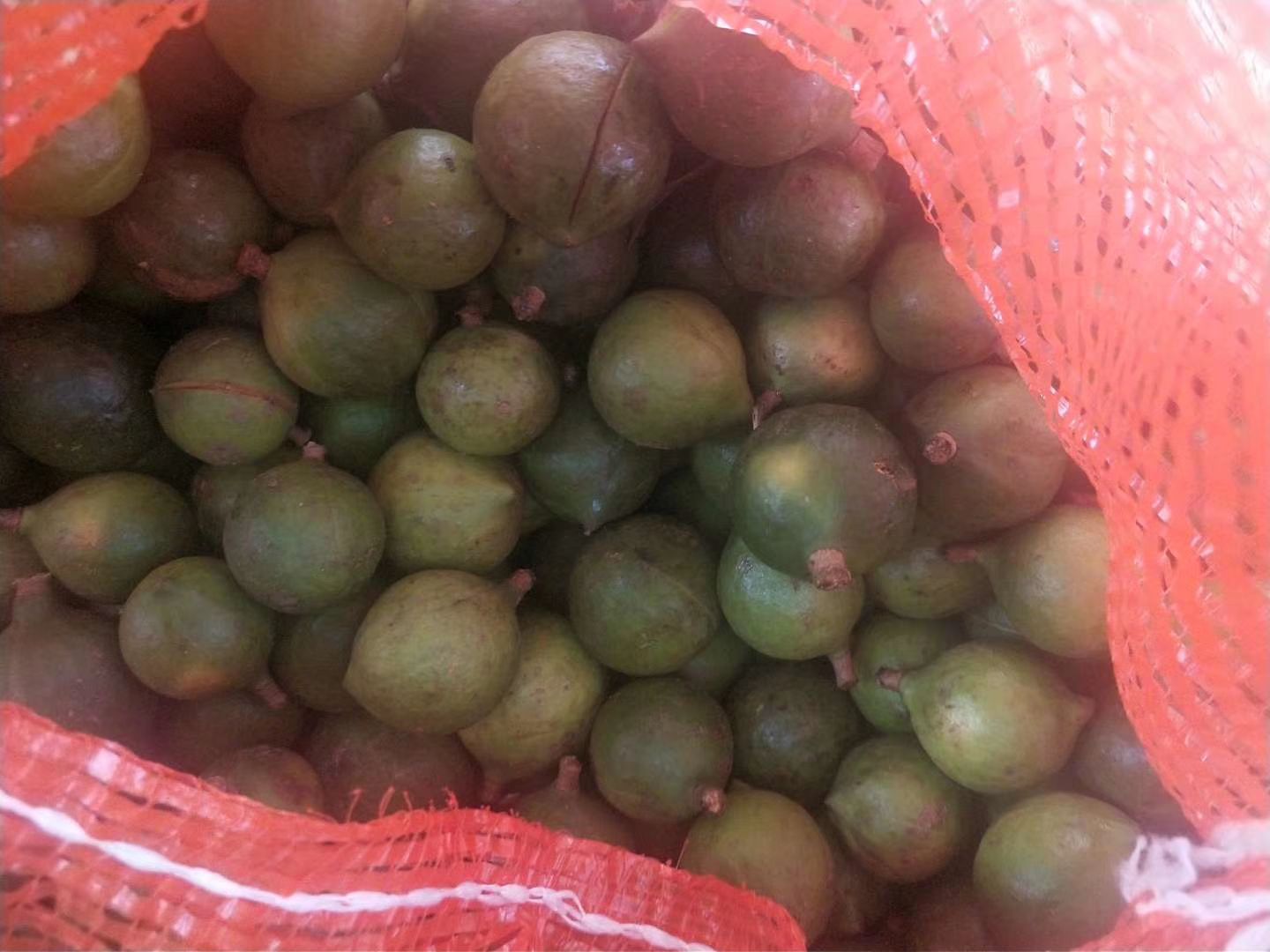 夏威夷果 夏威夷干果