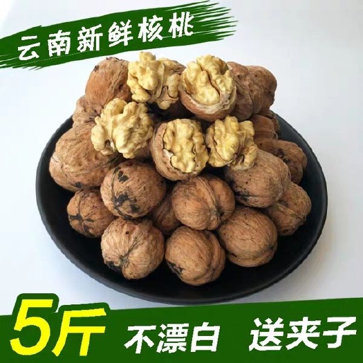 文山市 云南纸皮核桃5斤现货去青皮核桃薄皮孕妇专用新货薄壳湿核桃新