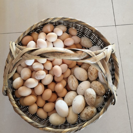 粉壳蛋  散养草鸡蛋土鸡蛋夏爱频农产品