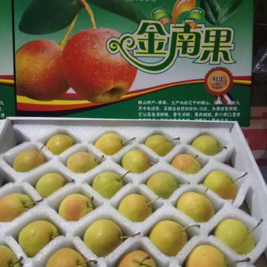 鞍山预售鞍山特产南果梨（可实地看货再买!）