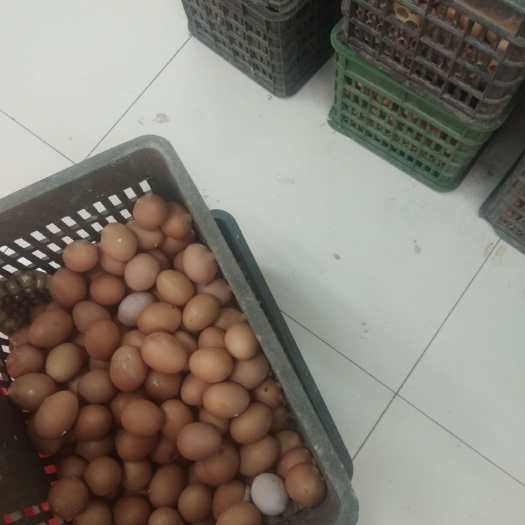 如皋市土鸡蛋 食用 箱装