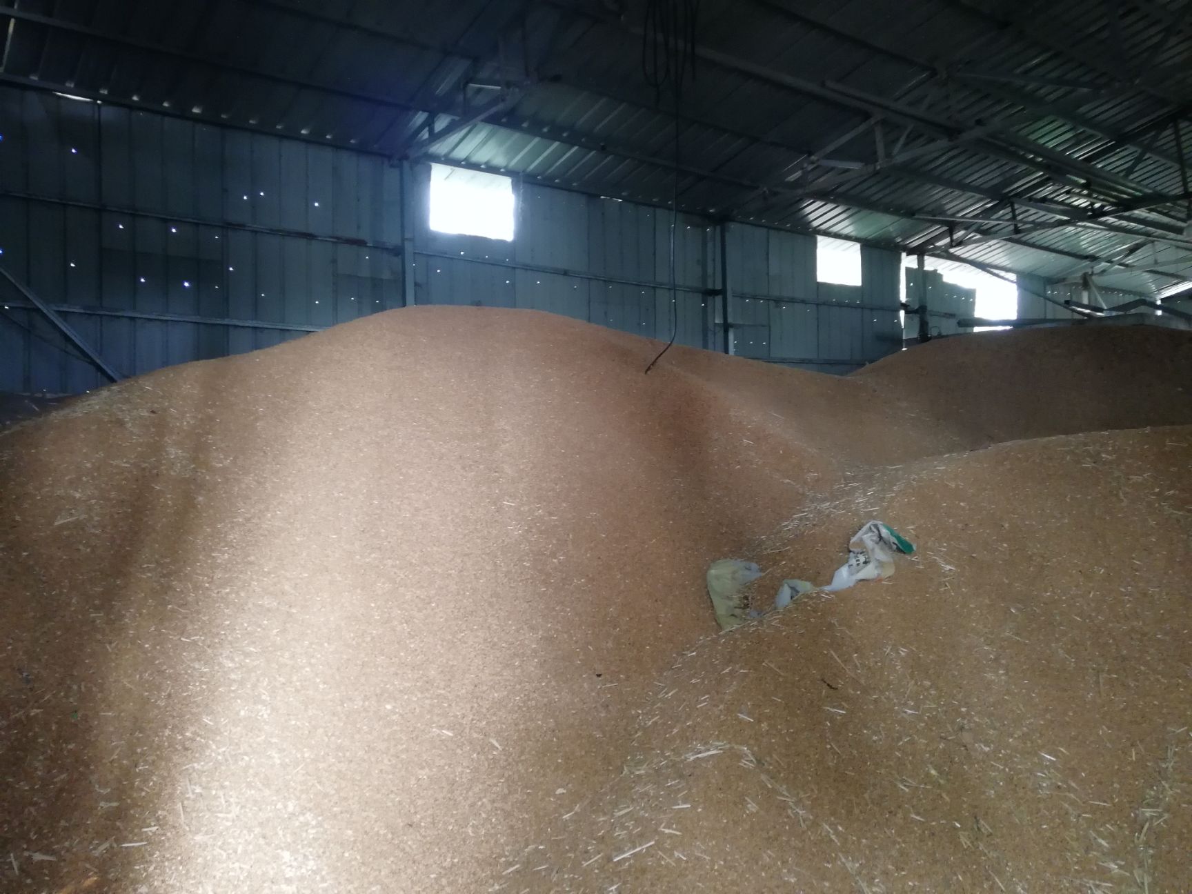 混合小麦 混合小米，2019新麦