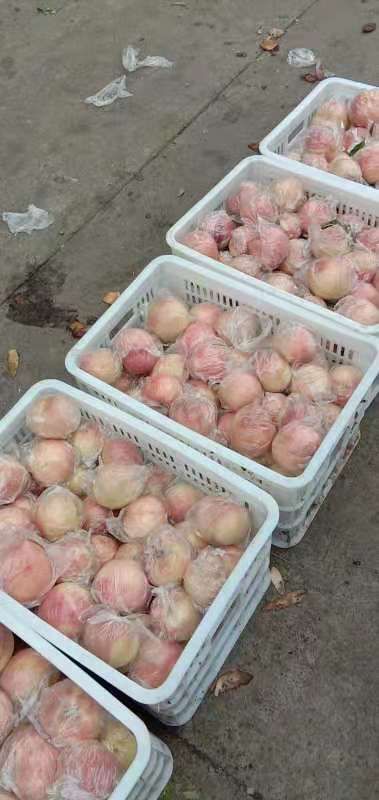 灵宝市 新鲜红桃，个大味甜