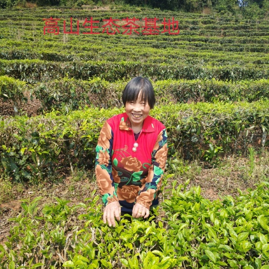 西宁云南绿茶 一级 袋装 