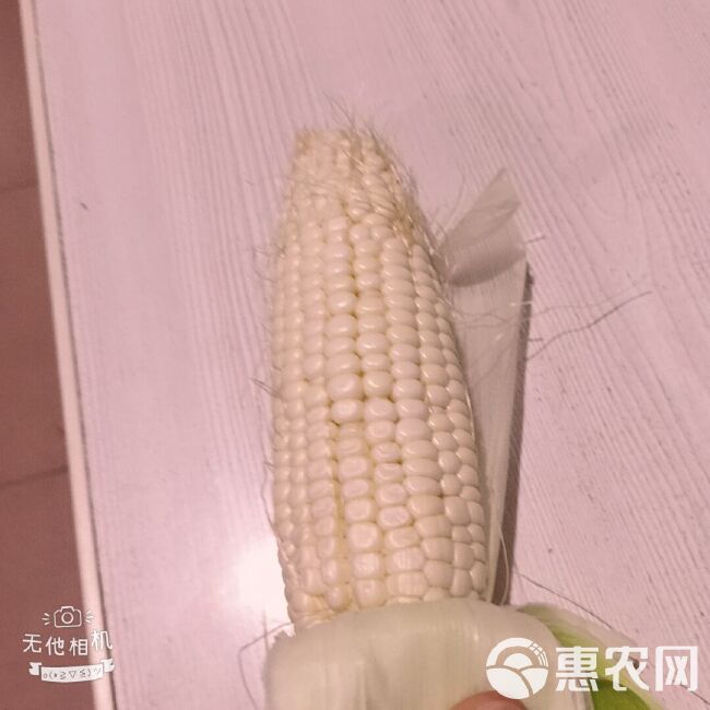  甜糯玉米