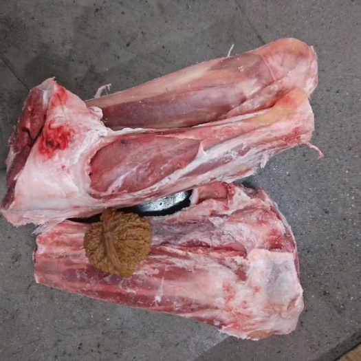 哈尔滨 282厂 绵羊前腱