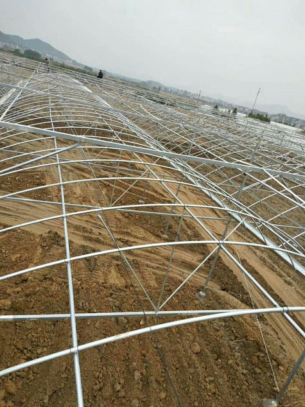 种植大棚