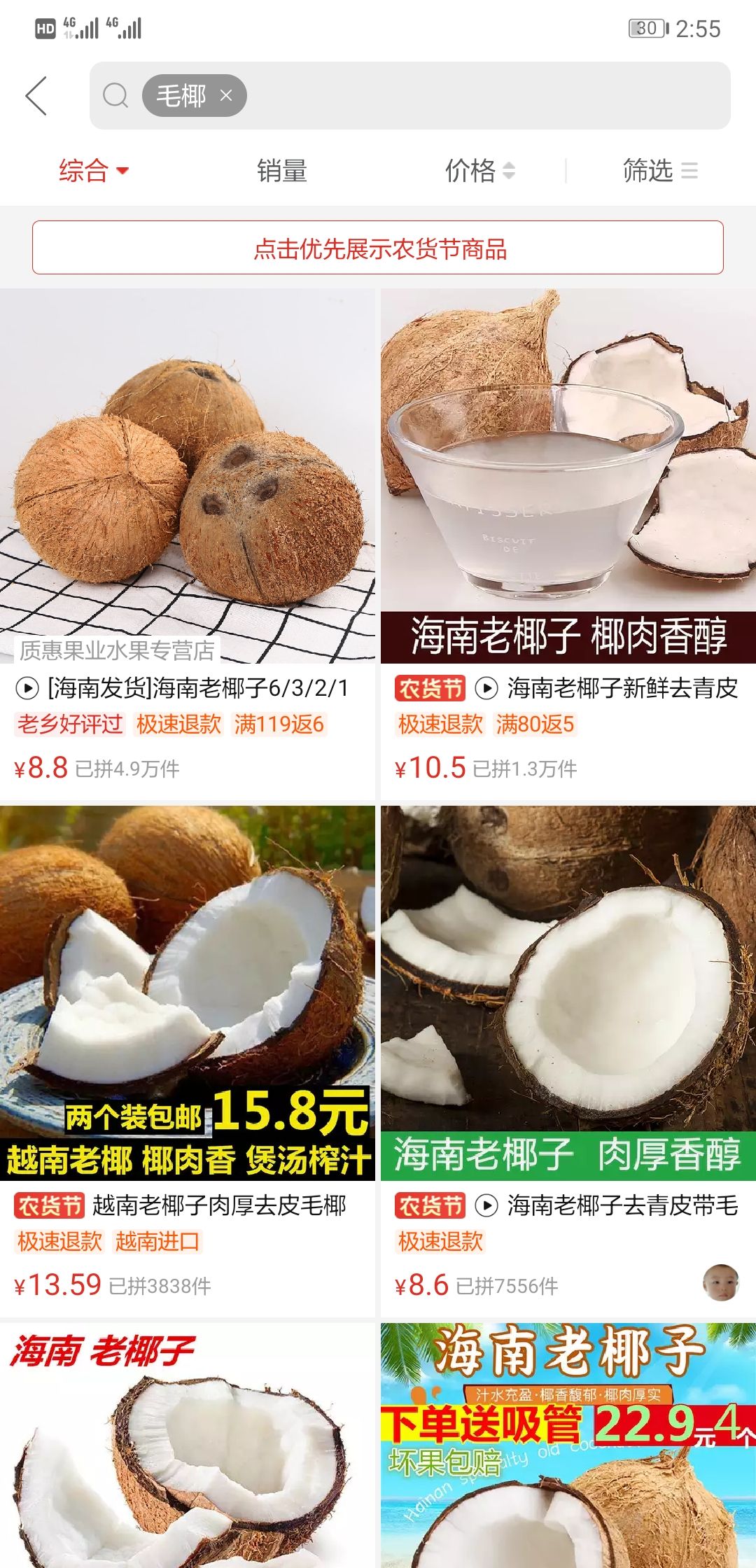 毛椰、海南椰子、海南老椰