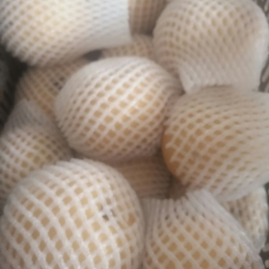 金华 刚到的莱阳梨，保质保量，特别甜，水分足