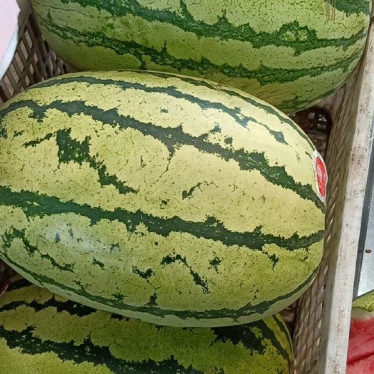 中卫宁夏硒砂瓜，电商货，7－15 斤
二茬瓜，装出一茬的质量