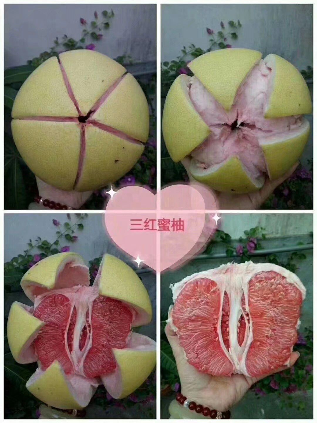 福建平和管溪蜜柚三红蜜柚红肉当季水果新鲜