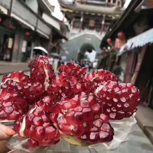 会理市 🔥🔥🔥
中国☞四川☞会理
石榴热销中订购中，欢迎来聊
