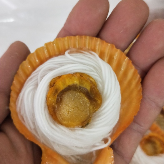 佛山黄金贝