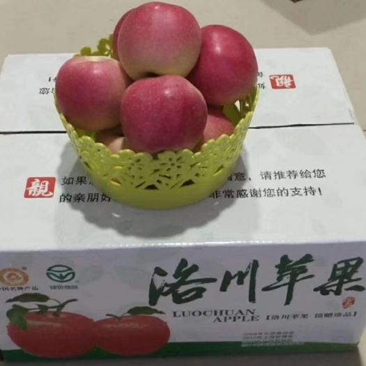 洛川县嘎啦苹果 口感看甜可口色泽艳丽