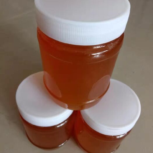 阳西县 农家野外散养天然蜂蜜500g