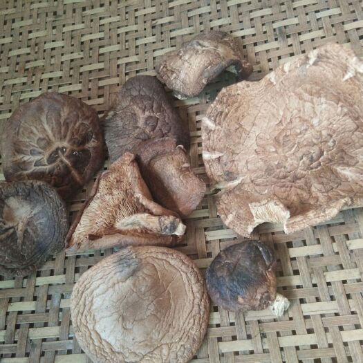 冕宁县干巴菌 优质野生菌类，天然生长，自然晒干