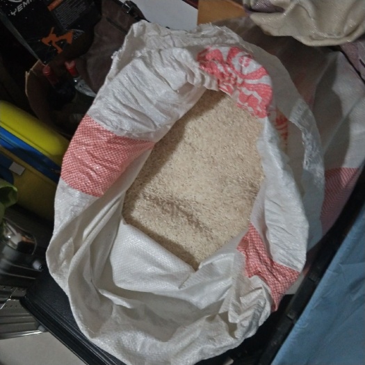 阜阳碎米 一等品 早稻 籼米